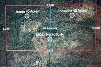 Land for sale in Calhoun County, Florida