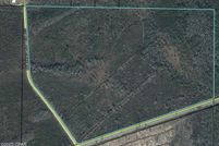 Undeveloped Land for sale in Calhoun County, Florida