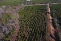 Land for sale in Jackson County, Florida