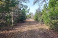 Land for sale in Calhoun County, Florida