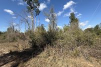 Land for sale in Jackson County, Florida