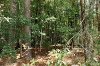 Land for sale in Holmes County, Florida