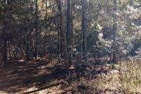 Undeveloped Land for sale in Holmes County, Florida