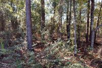 Lakefront Property for sale in Holmes County, Florida