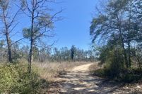 Undeveloped Land for sale in Liberty County, Florida
