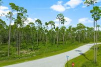 Undeveloped Land for sale in Bay County, Florida