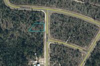 Undeveloped Land for sale in Washington County, Florida
