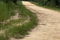 Land for sale in Jackson County, Florida