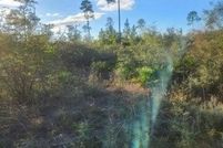 Land for sale in Calhoun County, Florida