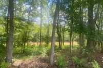 Undeveloped Land for sale in Cherokee County, Georgia
