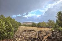 Farm and Ranch for sale in Apache County, Arizona