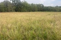 Undeveloped Land for sale in Red River County, Texas