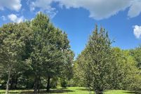 Land for sale in Wood County, Texas