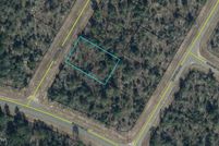 Land for sale in Washington County, Florida