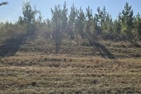 Homesite for sale in Jackson County, Florida