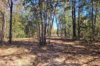 Land for sale in Calhoun County, Florida