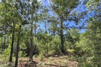 Undeveloped Land for sale in Jackson County, Florida