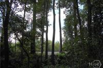 Land for sale in Chatham County, Georgia