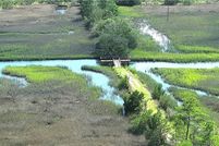 Undeveloped Land for sale in Liberty County, Georgia