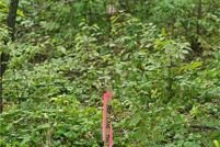 Farm and Ranch for sale in Cass County, Minnesota