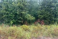 Undeveloped Land for sale in Bryan County, Oklahoma
