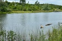 Land for sale in Cheboygan County, Michigan