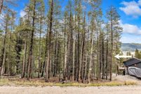 Undeveloped Land for sale in Park County, Colorado