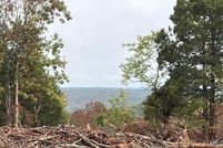 Farm and Ranch for sale in Madison County, Missouri