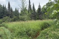 Undeveloped Land for sale in Saint Louis County, Minnesota