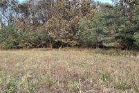 Undeveloped Land for sale in Greene County, Missouri