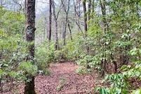 Land for sale in Union County, Georgia