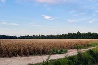 Land for sale in Clay County, Arkansas