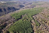 Undeveloped Land for sale in Van Buren County, Arkansas
