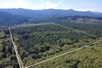 Undeveloped Land for sale in Clallam County, Washington