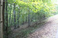 Undeveloped Land for sale in Rutherford County, North Carolina