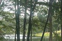 Land for sale in Pearl River County, Mississippi