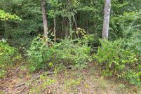Land for sale in Hardin County, Tennessee