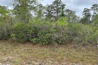 Undeveloped Land for sale in Polk County, Florida
