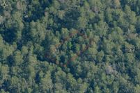Undeveloped Land for sale in Citrus County, Florida
