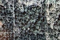 Land for sale in Saint Tammany Parish, Louisiana