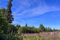 Land for sale in Kenai Peninsula Borough, Alaska