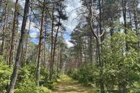 Land for sale in Clare County, Michigan