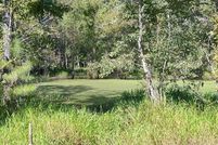 Land for sale in Geneva County, Alabama