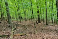 Timberland Property for sale in Clay County, Georgia