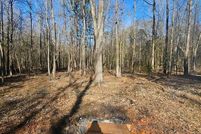 Undeveloped Land in Camp County, Texas