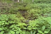 Undeveloped Land for sale in Ashe County, North Carolina