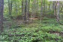 Homesite for sale in Ashe County, North Carolina
