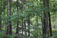 Land for sale in Crisp County, Georgia