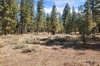 Undeveloped Land for sale in Elmore County, Idaho