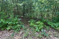 Land for sale in Gilmer County, Georgia